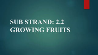 STRAND 2.0 FOOD PRODUCTION PROCESSES.pptx