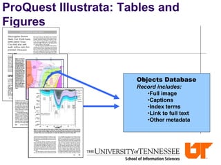 ProQuest Illustrata: Tables and
Figures
Objects Database
Record includes:
•Full image
•Captions
•Index terms
•Link to full text
•Other metadata
 