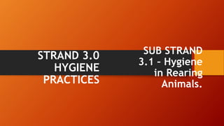 STRAND 3.0
HYGIENE
PRACTICES
SUB STRAND
3.1 – Hygiene
in Rearing
Animals.
 