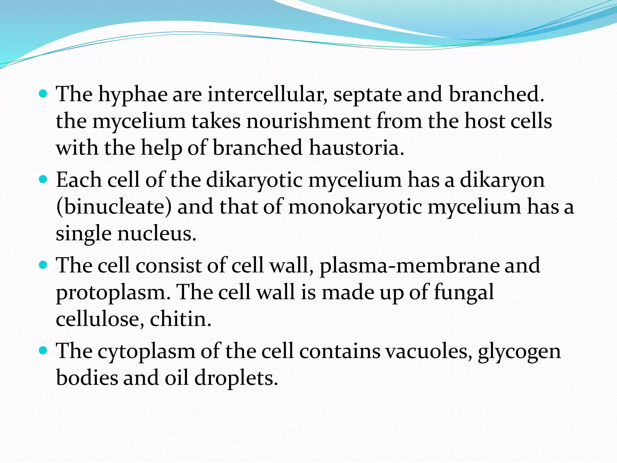  The hyphae are intercellular, septate and branched.
the mycelium takes nourishment from the host cells
with the help of branched haustoria.
 Each cell of the dikaryotic mycelium has a dikaryon
(binucleate) and that of monokaryotic mycelium has a
single nucleus.
 The cell consist of cell wall, plasma-membrane and
protoplasm. The cell wall is made up of fungal
cellulose, chitin.
 The cytoplasm of the cell contains vacuoles, glycogen
bodies and oil droplets.
 