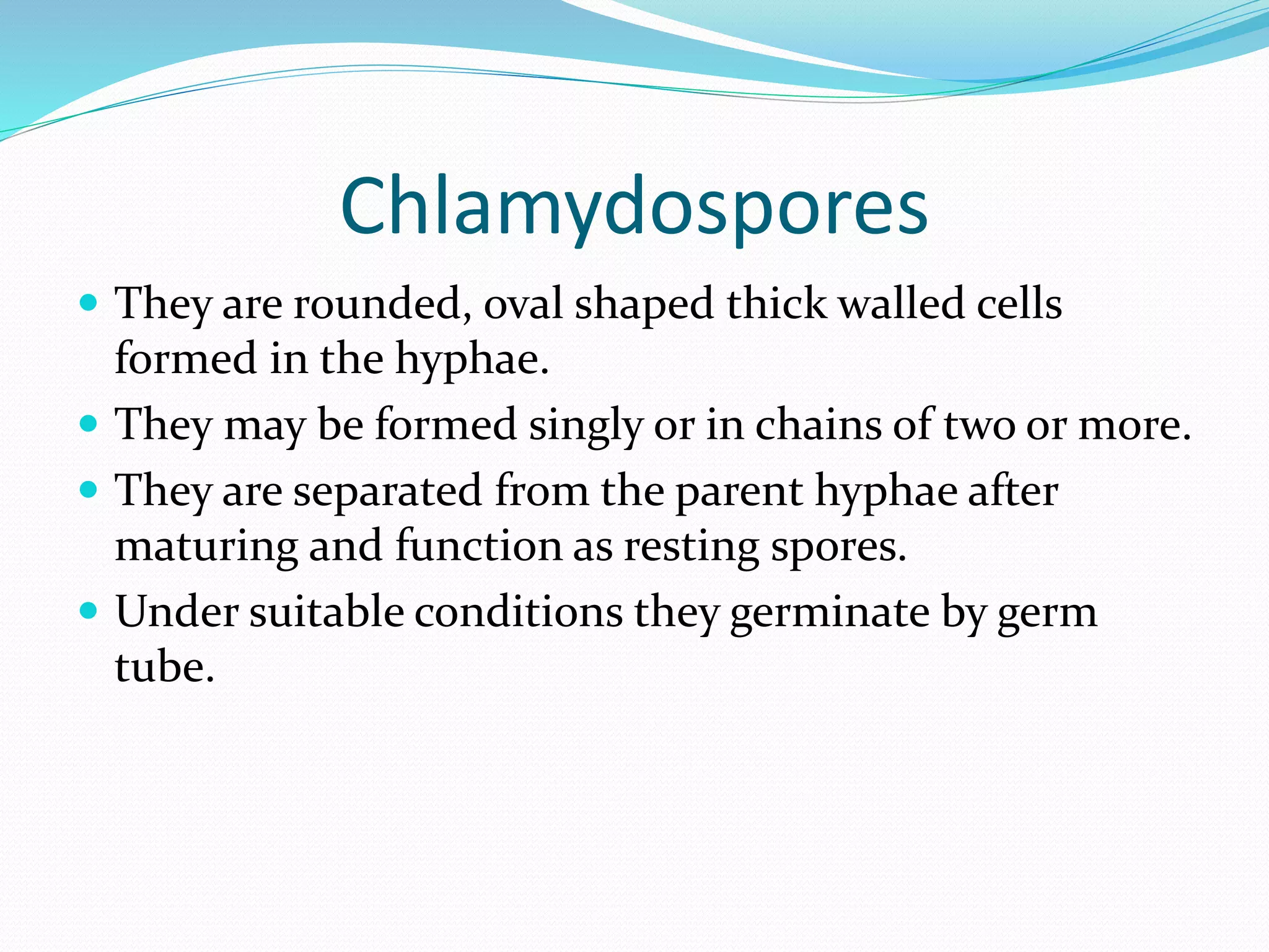 Chlamydospores
 They are rounded, oval shaped thick walled cells
formed in the hyphae.
 They may be formed singly or in chains of two or more.
 They are separated from the parent hyphae after
maturing and function as resting spores.
 Under suitable conditions they germinate by germ
tube.
 