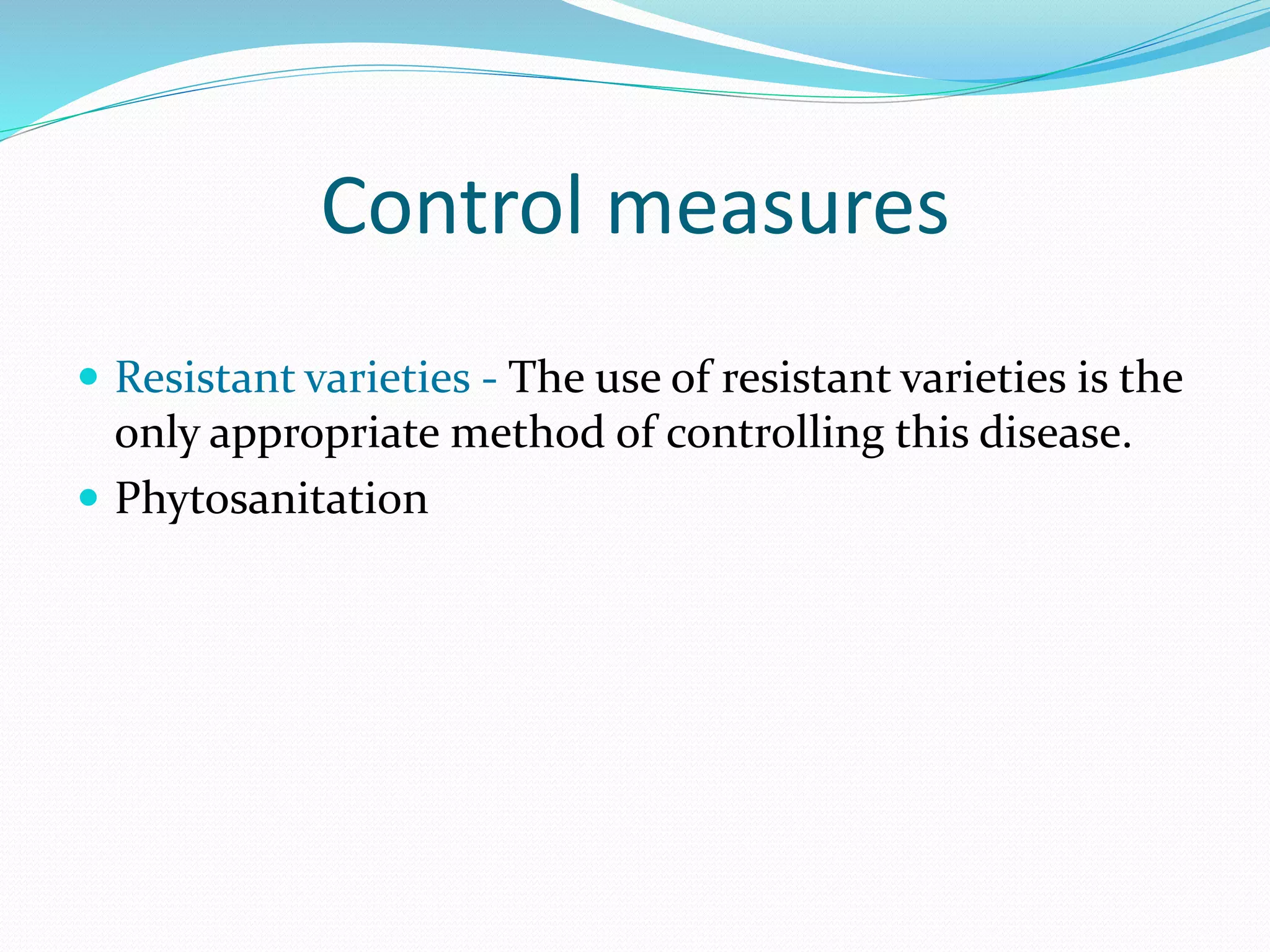 Control measures
 Resistant varieties - The use of resistant varieties is the
only appropriate method of controlling this disease.
 Phytosanitation
 