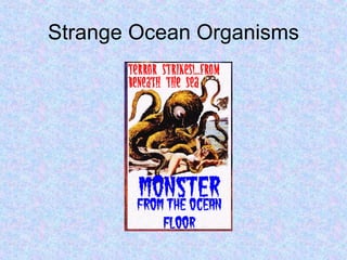 Strange Ocean Organisms 