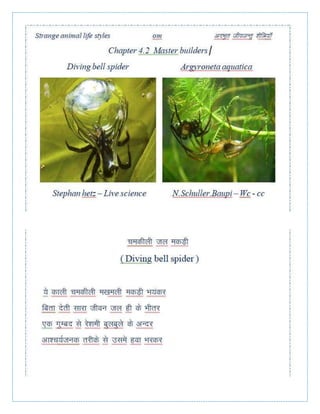 Strange animal life styles Adbhut jeevjantu shailiyan Chapter 4.2 Master builders  Hindi
