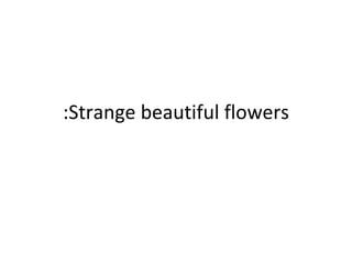 Strange beautiful flowers: 