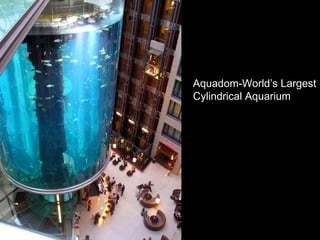 Aquadom-World’s Largest Cylindrical Aquarium 