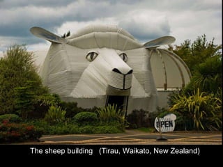 The sheep building  (Tirau, Waikato, New Zealand) 