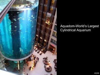 Aquadom-World’s Largest Cylindrical Aquarium /48 