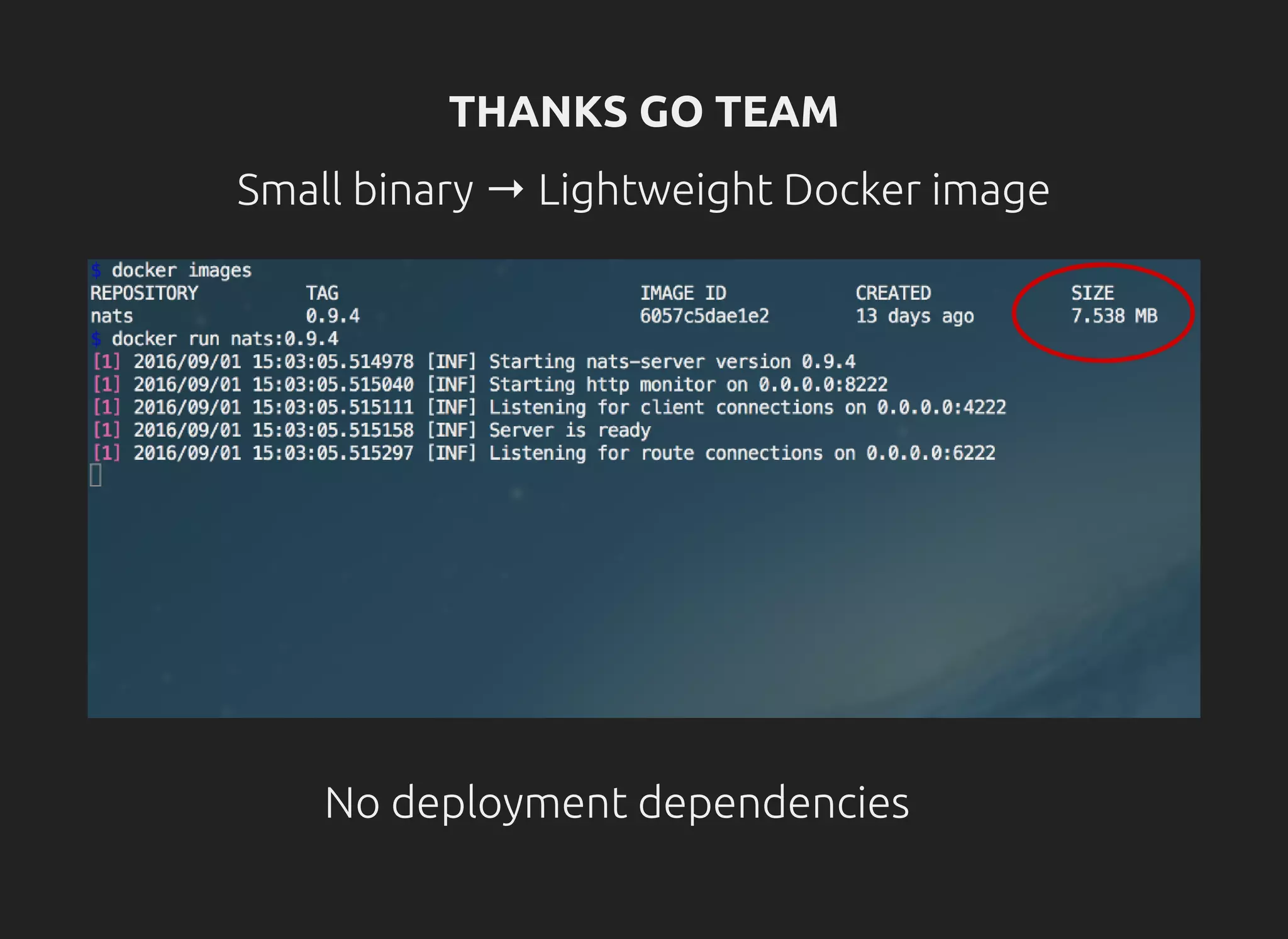 THANKS GO TEAM
Small binary → Lightweight Docker image
No deployment dependencies ✌
 