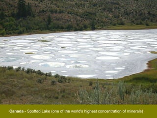 Canada  - Spotted Lake (one of the world's highest concentration of minerals) 