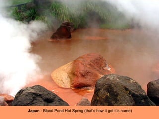Japan  - Blood Pond Hot Spring (that’s how it got it’s name) 