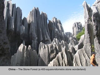 China – The Stone Forest (a 400-square-kilometre stone wonderland)
 