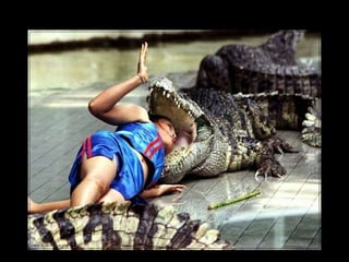 Au nord de la  Jordanie , près de la frontière Syrienne 