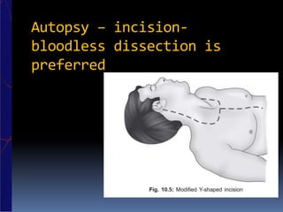 Autopsy – incision-
bloodless dissection is
preferred
 