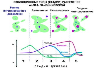 ЭВОЛЮЦИОННЫЕ ТИПЫ (СТАДИИ) РАССЕЛЕНИЯ
по Ж.А. ЗАЙОНЧКОВСКОЙ
С Т А Д И И Д Ж И Б Б С А
Большие
ГОРОДА
СЕЛА
Малые
Раннее
интегрированное
(добавлено)
Автономное Сжимающееся
Позднее
интегрированное
 