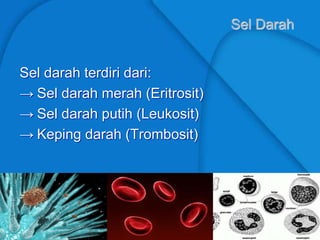 Sel Darah
Sel darah terdiri dari:
→ Sel darah merah (Eritrosit)
→ Sel darah putih (Leukosit)
→ Keping darah (Trombosit)
 