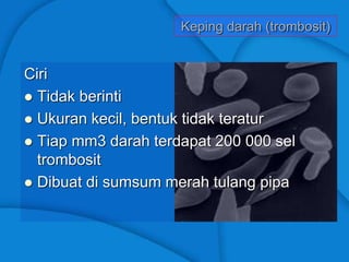 Keping darah (trombosit)
Ciri
 Tidak berinti
 Ukuran kecil, bentuk tidak teratur
 Tiap mm3 darah terdapat 200 000 sel
trombosit
 Dibuat di sumsum merah tulang pipa
 