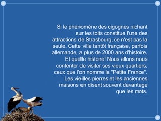 Si le phénomène des cigognes nichant sur les toits constitue l'une des attractions de Strasbourg, ce n'est pas la seule. Cette ville tantôt française, parfois allemande, a plus de 2000 ans d'histoire. Et quelle histoire! Nous allons nous contenter de visiter ses vieux quartiers, ceux que l'on nomme la "Petite France". Les vieilles pierres et les anciennes maisons en disent souvent davantage que les mots. 