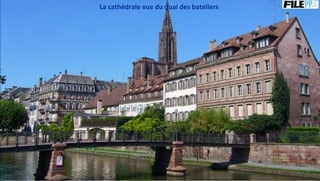 La cathédrale vue du quai des bateliers
 