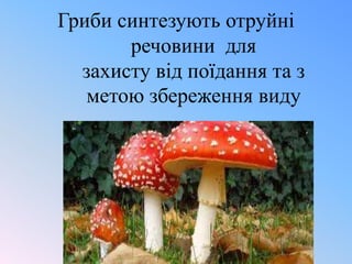 Гриби синтезують отруйні
речовини для
захисту від поїдання та з
метою збереження виду

 