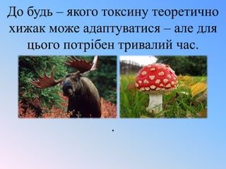 До будь – якого токсину теоретично
хижак може адаптуватися – але для
цього потрібен тривалий час.

.

 
