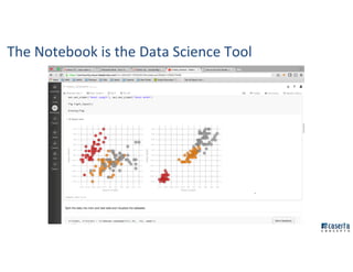 The Notebook is the Data Science Tool
 