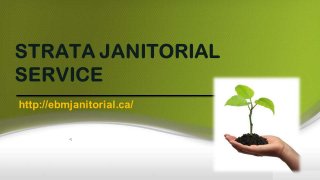 Strata Janitorial Service