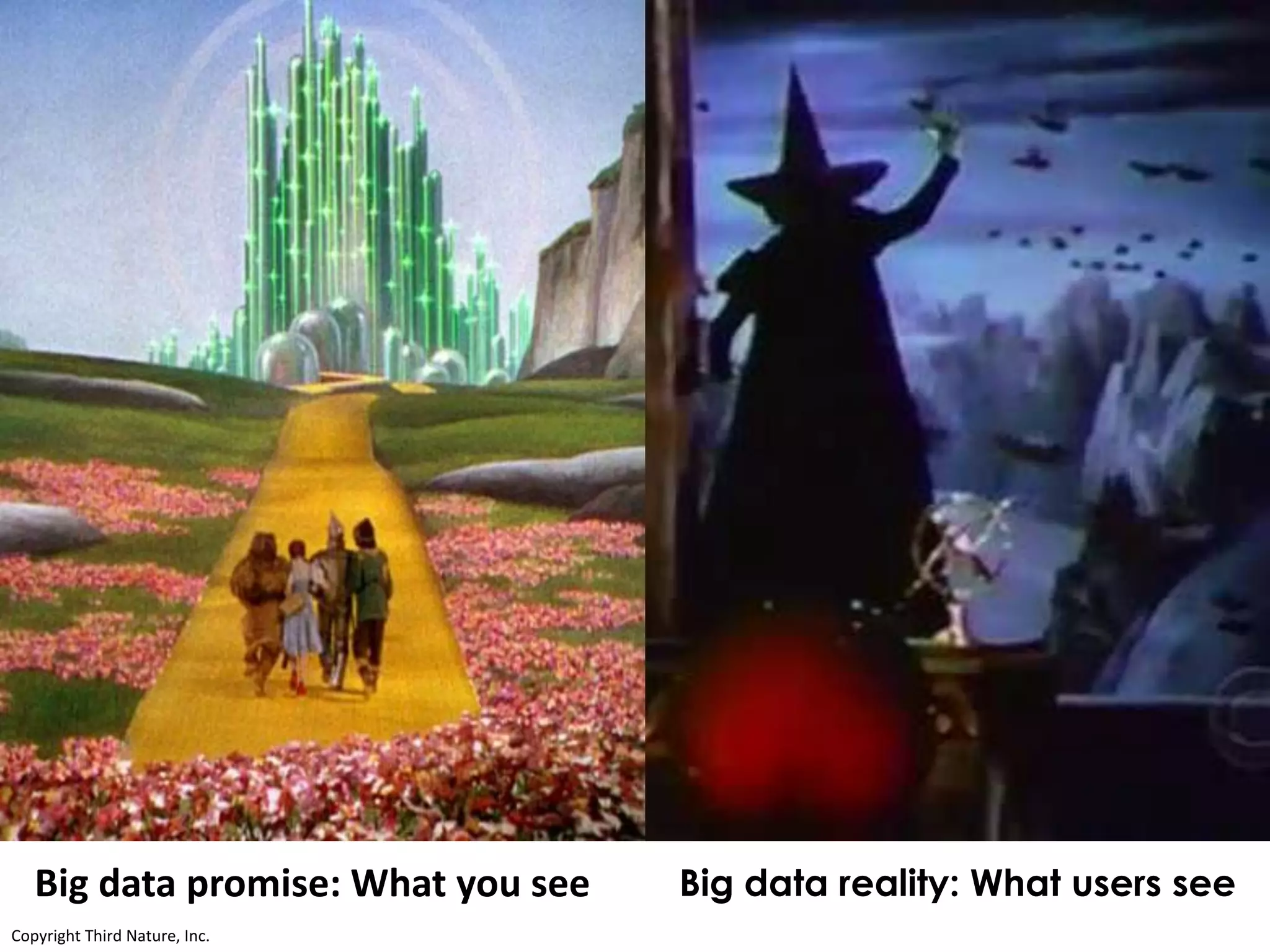 Copyright Third Nature, Inc.Copyright Third Nature, Inc.
Big data reality: What users seeBig data promise: What you see
 