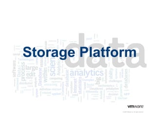 Storage Platform

© 2009 VMware Inc. All rights reserved

 