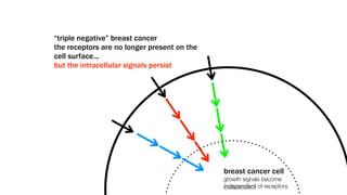 “triple negative” breast cancer
the receptors are no longer present on the
cell surface...
but the intracellular signals persist




                                             breast cancer cell
                                             growth signals become
                                             independent of receptors
 