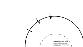 breast cancer cell
growth signals become
independent of receptors
 