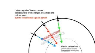 “triple negative” breast cancer
the receptors are no longer present on the
cell surface...
but the intracellular signals persist




                                       T
                                      N S
                                     E L
                                    D A
                                   N N
                                  E IG
                                EP S
                               D H
                            IN T
                               OW
                            G R
                                             breast cancer cell
                                             growth signals become
                                             independent of receptors
 