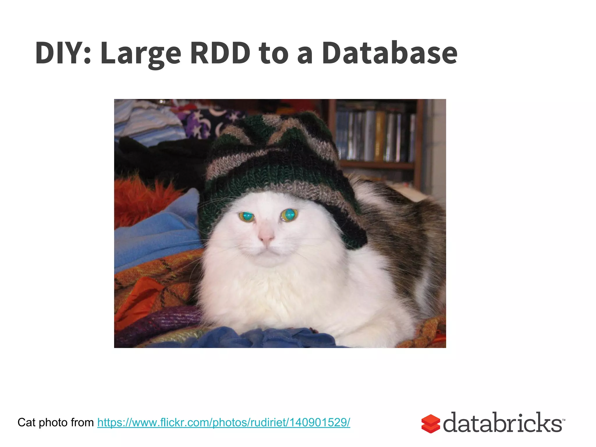 DIY: Large RDD to a Database
Cat photo from https://www.flickr.com/photos/rudiriet/140901529/
 