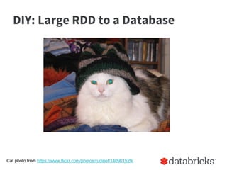 DIY: Large RDD to a Database
Cat photo from https://www.flickr.com/photos/rudiriet/140901529/
 