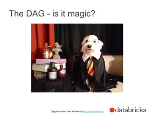 The DAG - is it magic?
Dog photo from: Pets Adviser by http://petsadviser.com
 