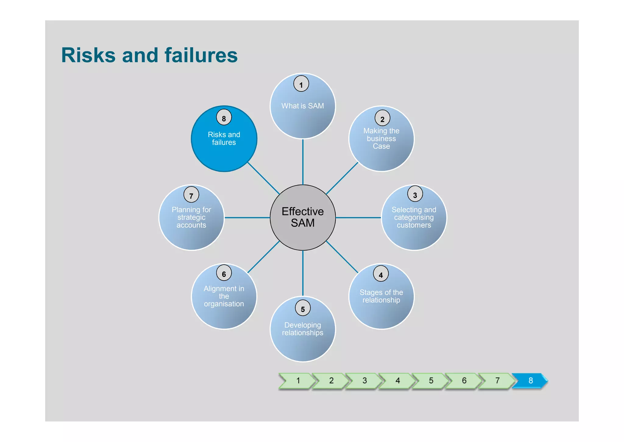 Risks and failures
                                        1

                                   What is SAM
                          8                                  2
                                                        Making the
                     Risks and
                                                         business
                      failures
                                                          Case




                7                                                      3
           Planning for            Effective                     Selecting and
             strategic                                            categorising
            accounts                 SAM                           customers




                          6                                 4
                    Alignment in
                                                       Stages of the
                         the
                                                        relationship
                    organisation
                                           5

                                    Developing
                                   relationships




                                       1           2   3          4        5     6   7   8
 