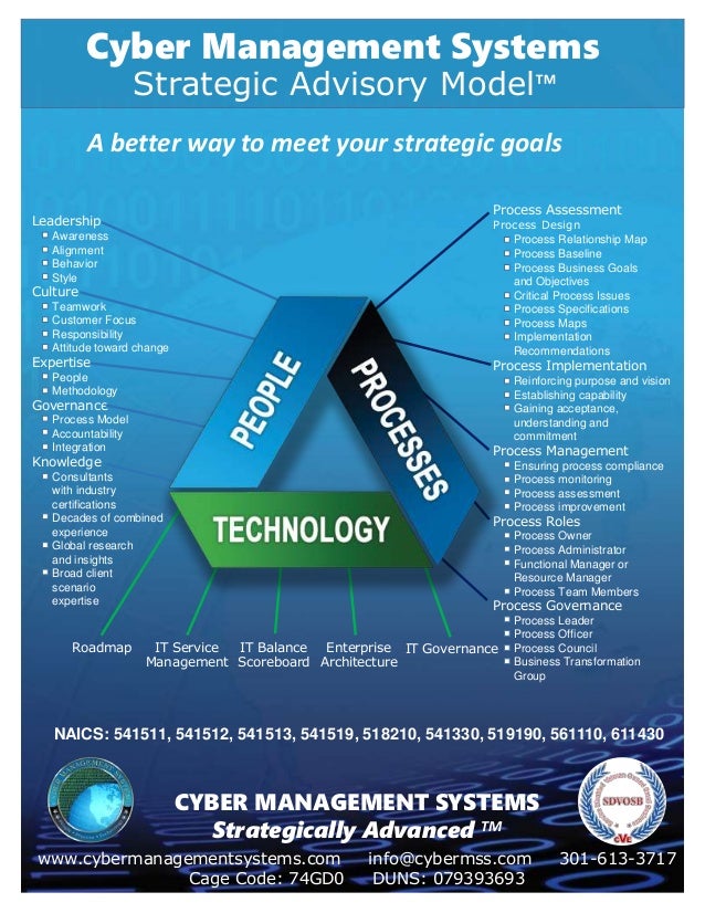 Strategic Advisory Model