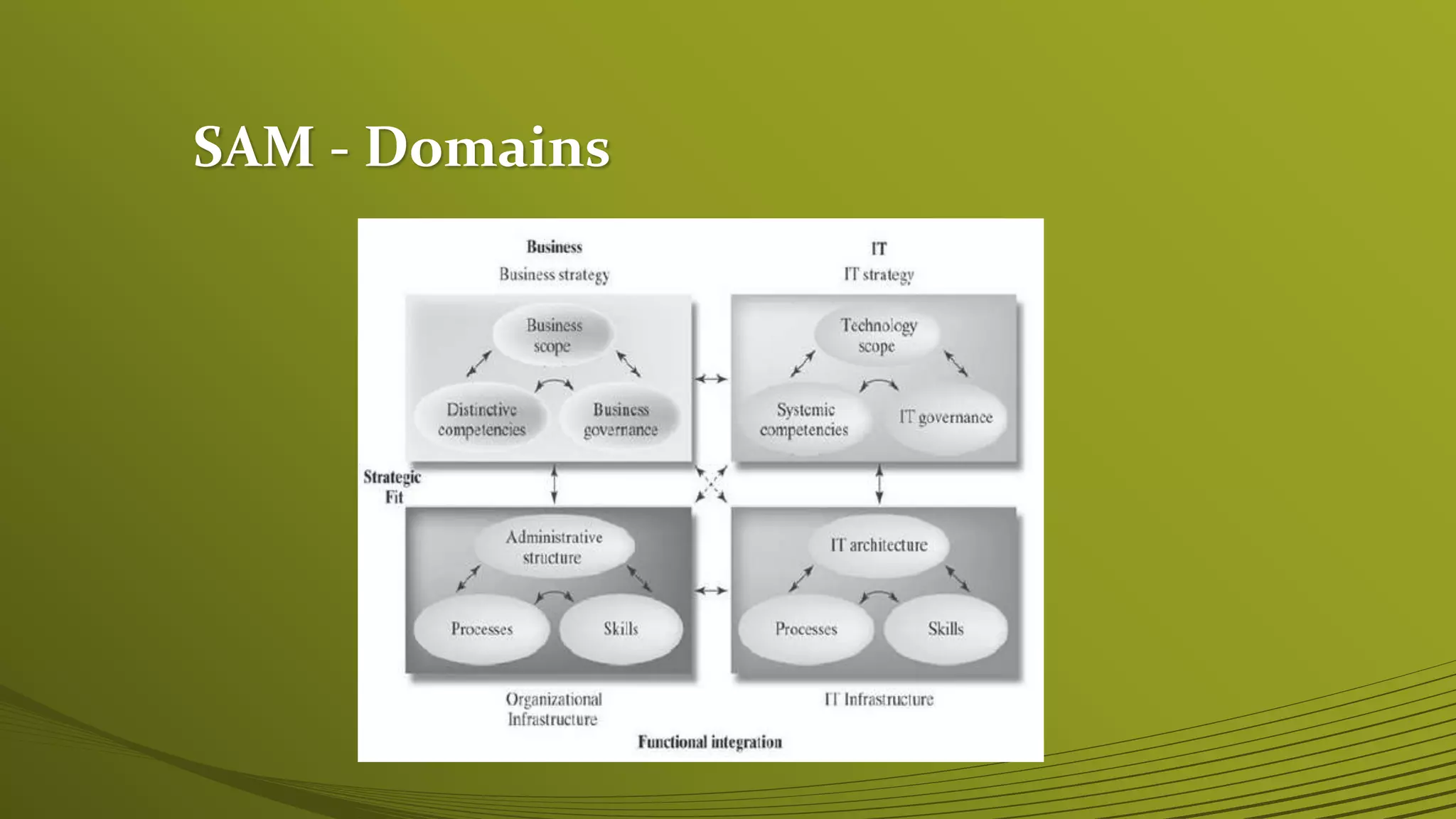 SAM - Domains