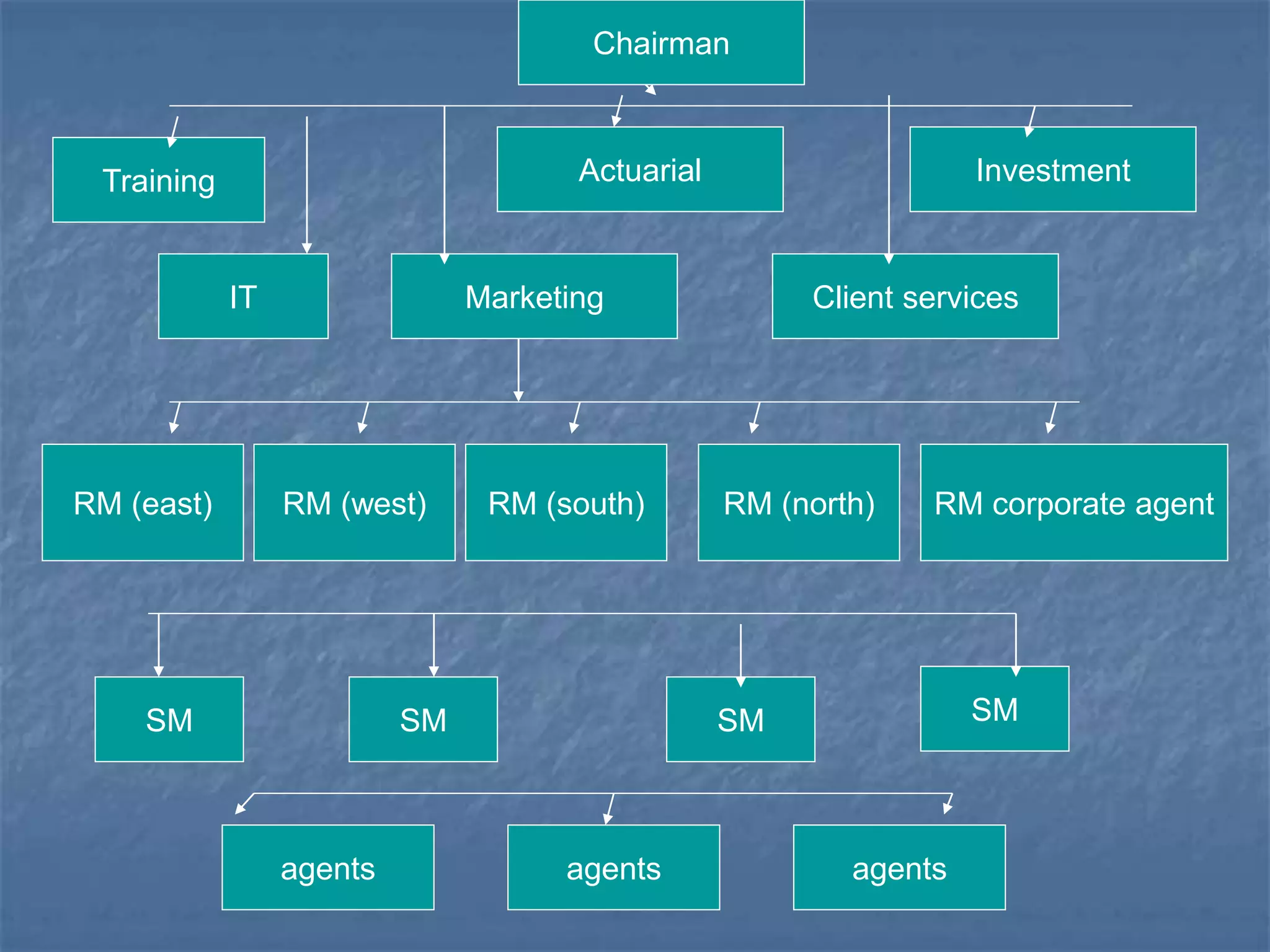 Chairman 
Training Actuarial Investment 
IT Marketing Client services 
RM corporate agent 
SM 
RM (east) RM (west) RM (south) RM (north) 
SM SM SM 
agents agents agents 
 