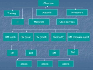 Chairman 
Training Actuarial Investment 
IT Marketing Client services 
RM corporate agent 
SM 
RM (east) RM (west) RM (sou...