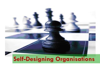 Understanding the
Balanced Scorecard

Self-Designing Organisations

 