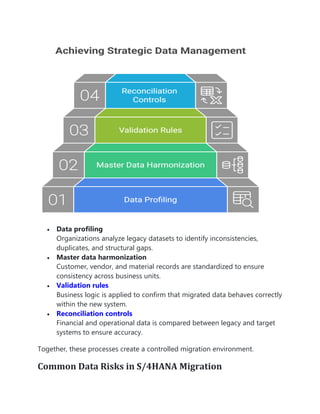 Strategic Data Management for S/4HANA Migration: How to Ensure a Stable ...