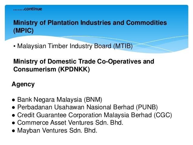 Strategic entrepreneurship Topic 10