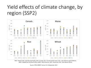 Yield effects of climate change, by
region (SSP2)
Source: IFPRI, IMPACT version 3.2, 8 September 2015
Cereals Maize
Rice Wheat
WLD = World; EAP = East Asia and Pacific; EUR = Europe; FSU = Former Soviet Union; LAC = Latin America and Caribbean;
MEN = Middle East and North Africa; NAM = North America; SAS = South Asia; SSA = Sub-Saharan Africa;
 