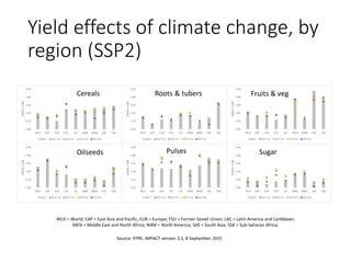 Yield effects of climate change, by
region (SSP2)
Source: IFPRI, IMPACT version 3.2, 8 September 2015
Cereals Roots & tubers
Oilseeds Pulses
Fruits & veg
Sugar
WLD = World; EAP = East Asia and Pacific; EUR = Europe; FSU = Former Soviet Union; LAC = Latin America and Caribbean;
MEN = Middle East and North Africa; NAM = North America; SAS = South Asia; SSA = Sub-Saharan Africa;
 