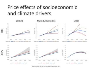 Price effects of socioeconomic
and climate drivers
Source: IFPRI, IMPACT version 3.2, 8 September 2015
Cereals Fruits & vegetables Meat
SSPsRCPs
 