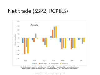 Net trade (SSP2, RCP8.5)
DVG = Developing Countries; EAP = East Asia and Pacific; SAS = South Asia; FSU = Former Soviet Union;
MEN = Middle East and North Africa; SSA = Sub-Saharan Africa; LAC = Latin America and Caribbean
Source: IFPRI, IMPACT version 3.2, 8 September 2015
Cereals
 