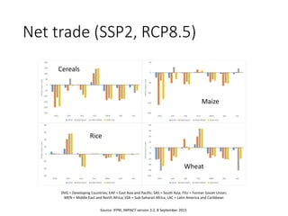Net trade (SSP2, RCP8.5)
DVG = Developing Countries; EAP = East Asia and Pacific; SAS = South Asia; FSU = Former Soviet Union;
MEN = Middle East and North Africa; SSA = Sub-Saharan Africa; LAC = Latin America and Caribbean
Source: IFPRI, IMPACT version 3.2, 8 September 2015
Cereals
Maize
Rice
Wheat
 