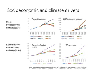Socioeconomic and climate drivers
Shared
Socioeconomic
Pathways (SSPs)
Representative
Concentration
Pathways (RCPs)
Source: Downloaded from the RCP Database version 2.0.5 (2015). RCP 2.6: van Vuuren et al. 2006; van Vuuren et al. 2007. RCP 4.5: Clark
et al. 2007; Smith and Wigley 2006; Wise et al 2009. RCP 6.0: Fujino et al 2006; Hijioka et al 2008. RCP 8.5: Riahi and Nakicenovic, 2007.
CO2 eq. (ppm)Radiative forcing
(W/m2)
Population (billion) GDP (trillion USD, 2005 ppp)
 