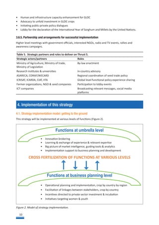 Strategic Framework to Foster Grain Legume and Dryland Cereal Seed Systems Innovations